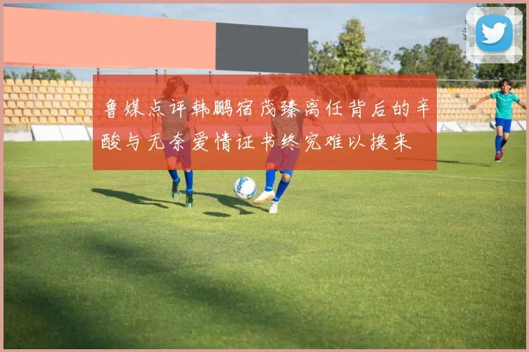鲁媒点评韩鹏宿茂臻离任背后的辛酸与无奈爱情证书终究难以换来