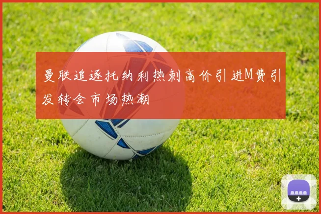 曼联追逐托纳利热刺高价引进M费引发转会市场热潮