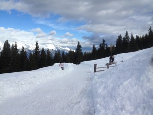 Tobogganning from Birgitzeralm